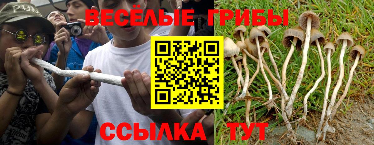 Псилоцибиновые грибы MAGIC MUSHROOMS  Вход с VPN  Томск 